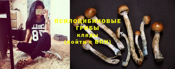 кокс Абаза