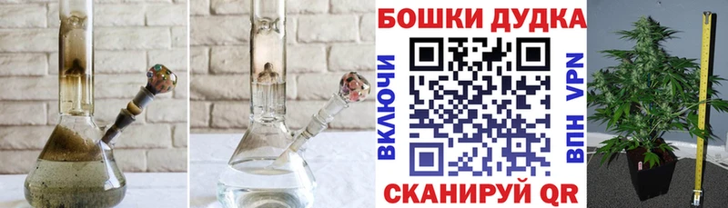 Бошки Шишки сатива  где купить наркоту  Духовщина 